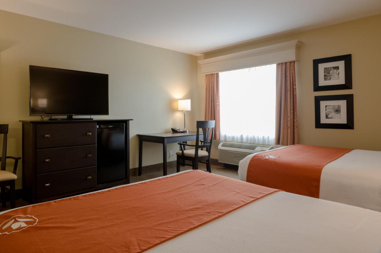 Amsterdam Inn & Suites Sussex Esterno foto