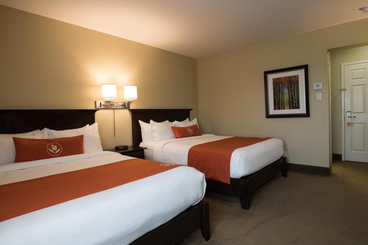 Amsterdam Inn & Suites Sussex Esterno foto
