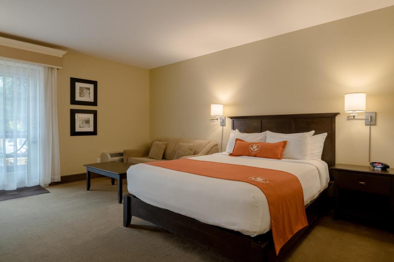 Amsterdam Inn & Suites Sussex Esterno foto