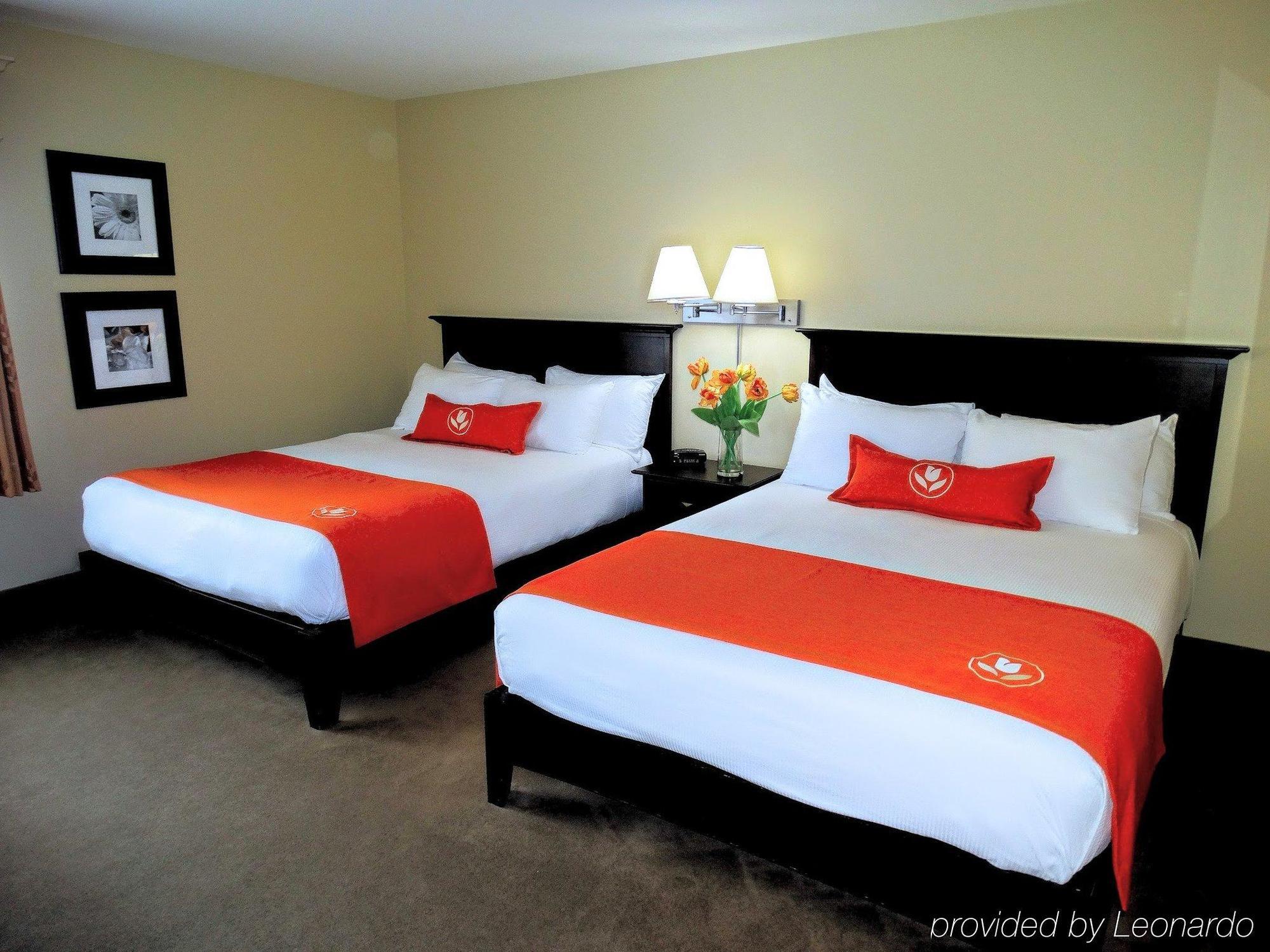 Amsterdam Inn & Suites Sussex Esterno foto