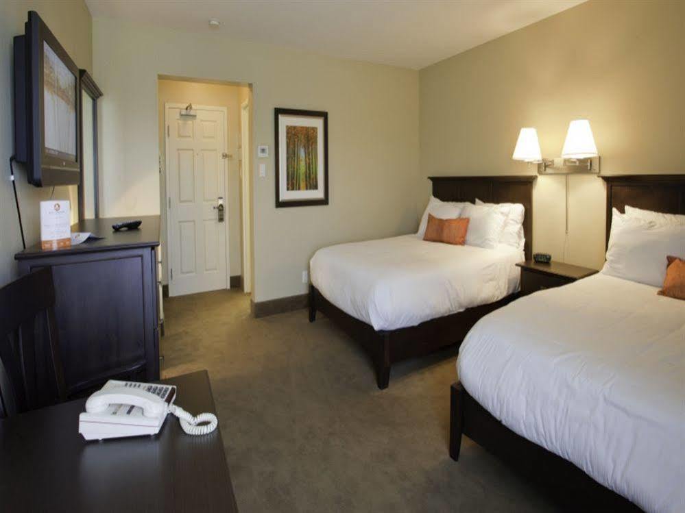 Amsterdam Inn & Suites Sussex Esterno foto