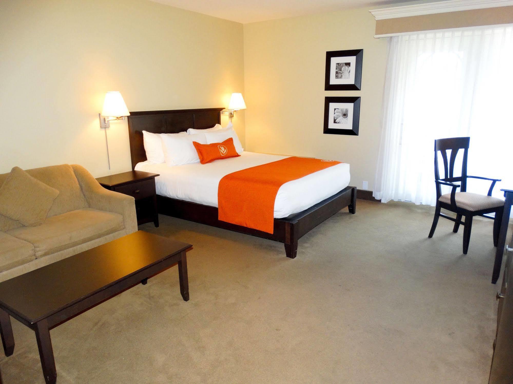 Amsterdam Inn & Suites Sussex Esterno foto